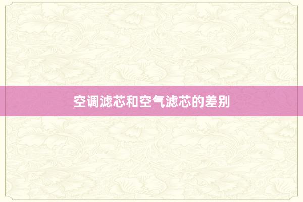 空调滤芯和空气滤芯的差别